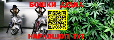 PSILOCYBIN Можга